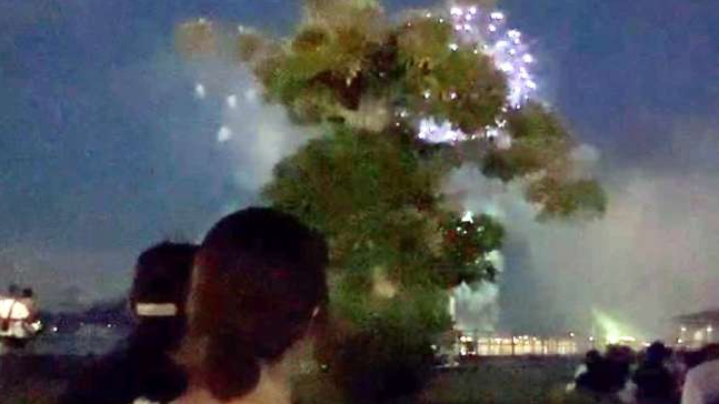 日本鹿兒島市一場煙花大會的售票坐位被大樹遮擋景觀。(網上圖片)