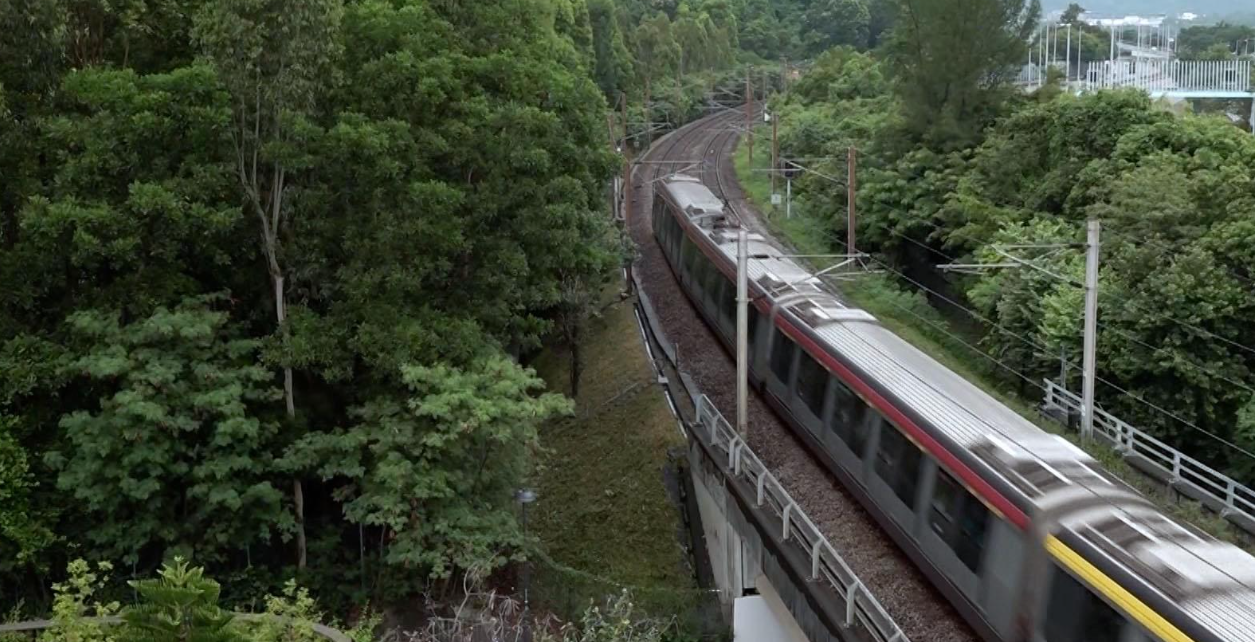 就興建港鐵白石角站和發展附近土地建議，政府與港鐵磋商進入最後階段。（港台圖片）
