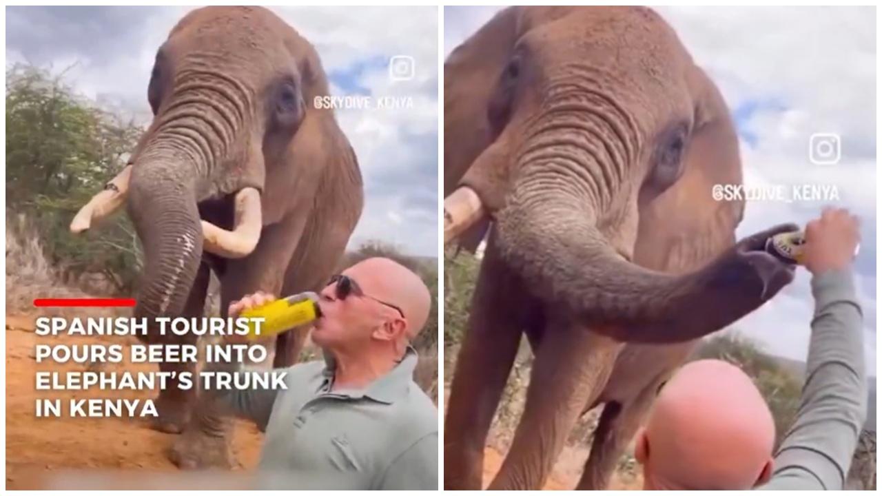 無良遊客向象鼻灌啤酒，網民怒轟：趕他出去。(X)