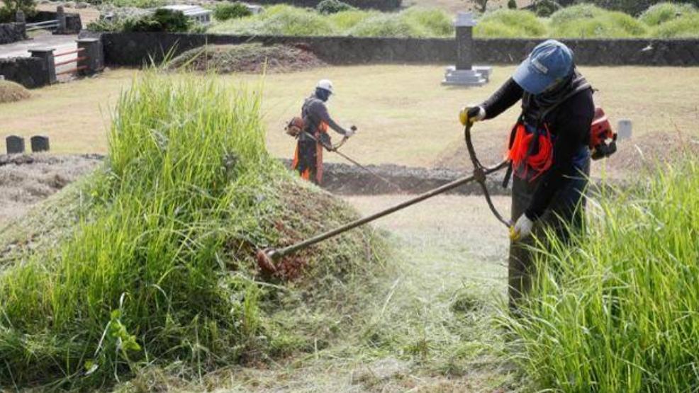 九旬女尸婦掃墓，意外被孫兒開車撞死。(網上圖片)