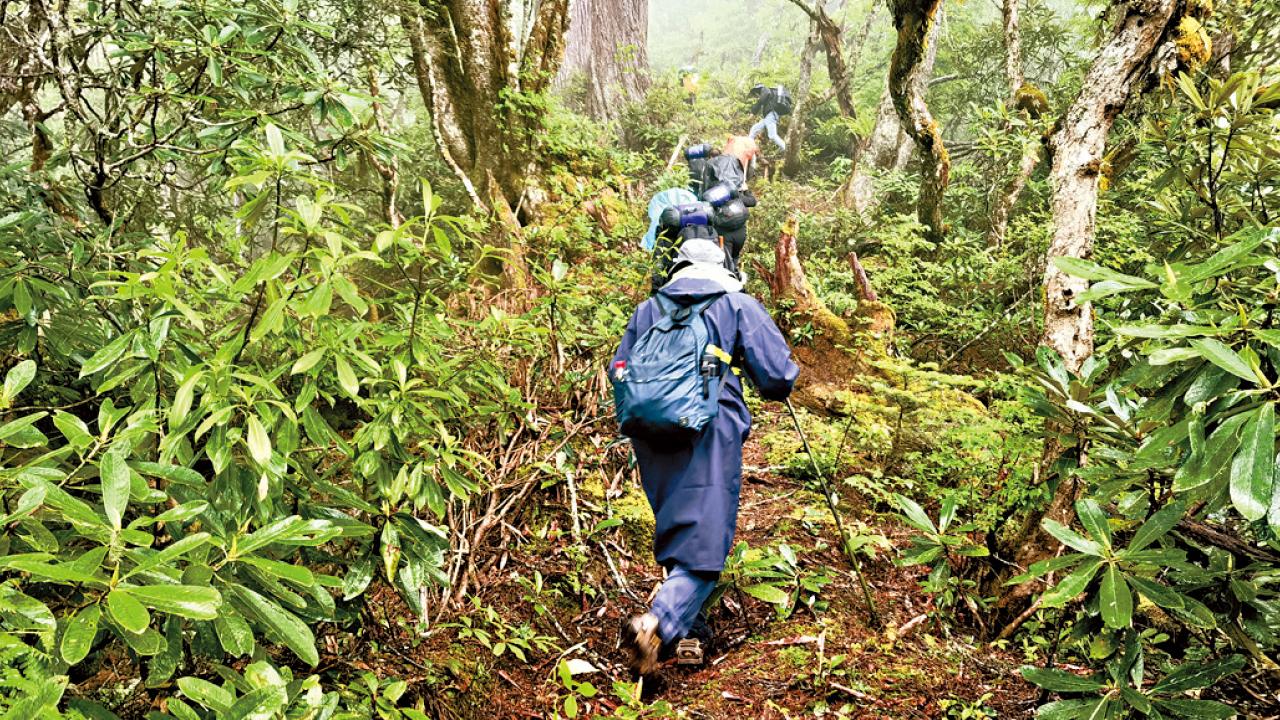 藏粵直流工程啟動 9毫秒西藏輸電大灣區 年輸送430億度電 全屬潔淨能源