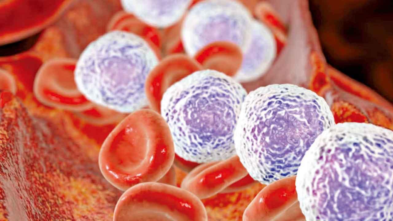 長期控病 與慢淋共存