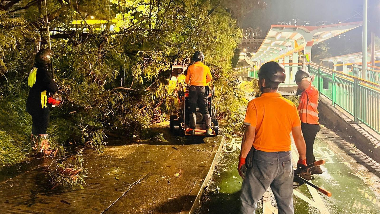 人員通宵工作，清除樹木等雜物。（地政總署)
