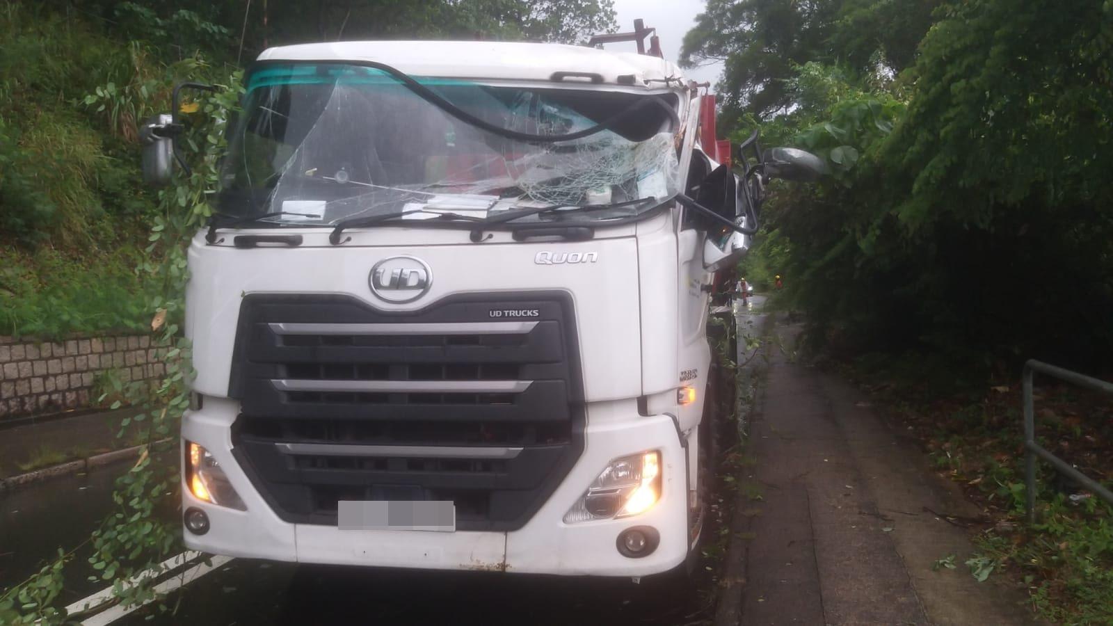 西沙路發生10米高大樹壓貨車事件。（fb「馬路的事討論區」圖片）