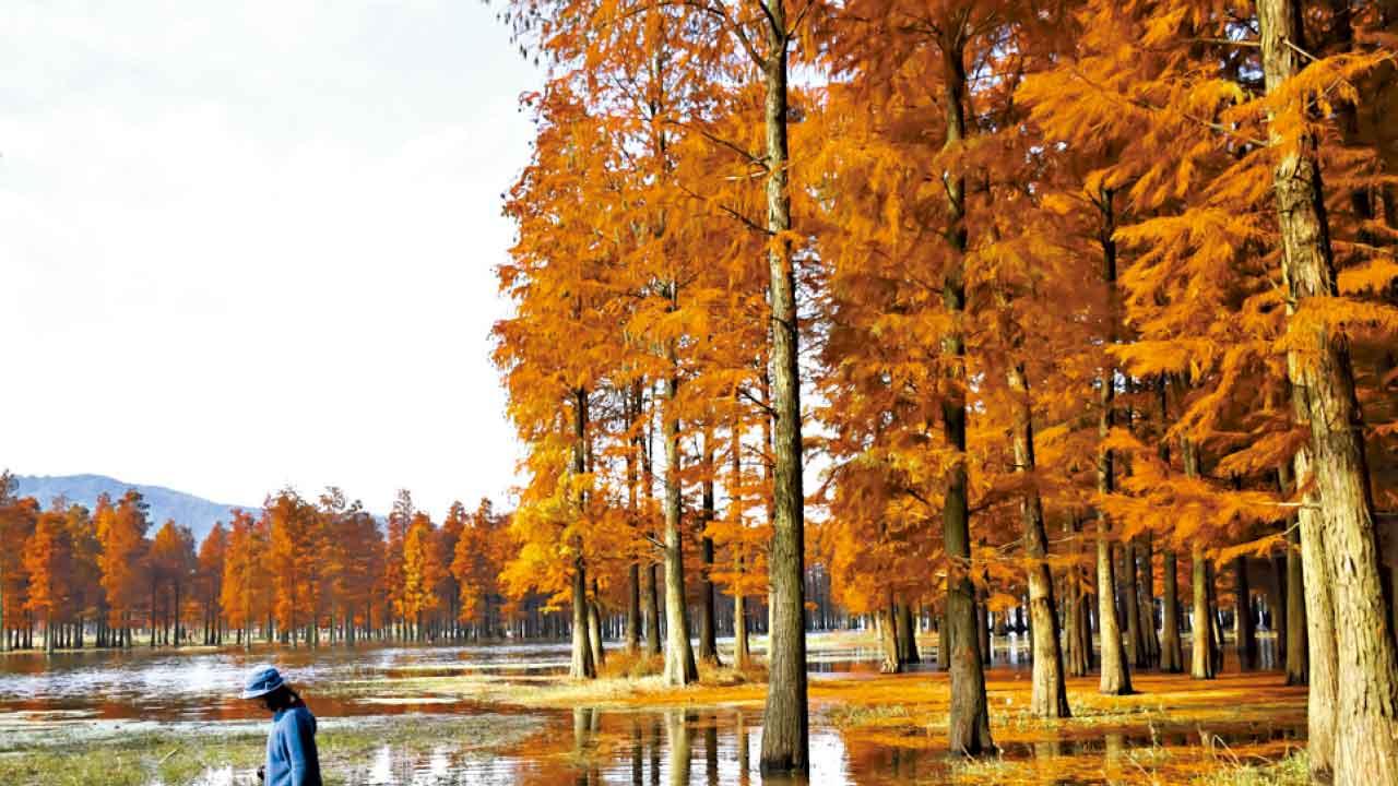 古城暮色 詩意煙火 風花雪月 彩雲之南6天