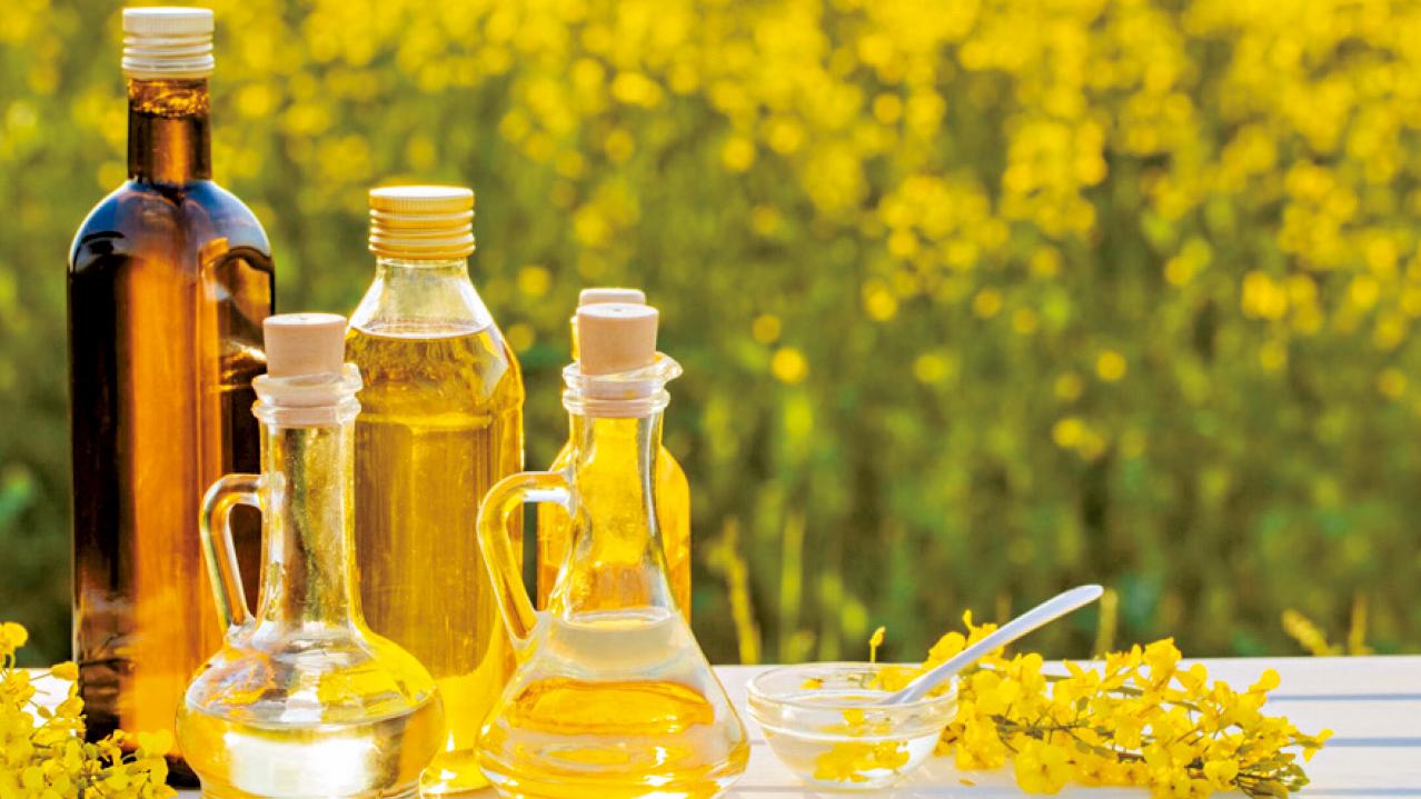 食植物油係自＿式行為？