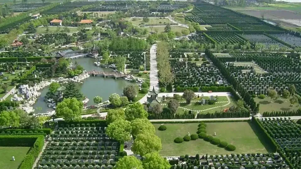 內地殯葬業龍頭首度虧損　上半年營收僅6億近腰斬