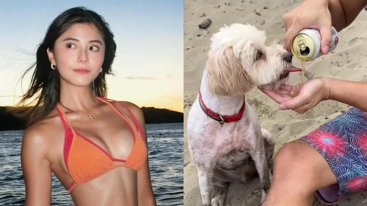 餵狗喝酒｜台灣網紅若盈惹網民炎上：虐待動物不可原諒