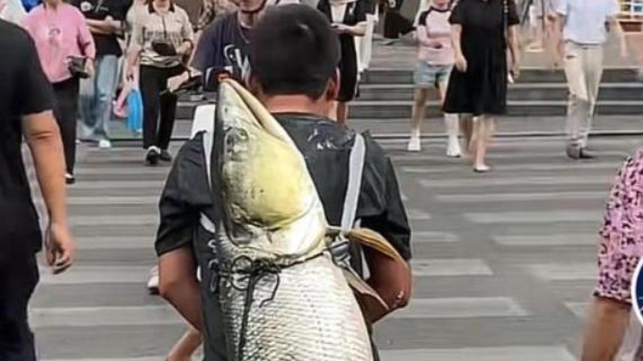 重慶漢釣到40公斤超級大魚　揹戰利品行街引圍觀（《網易》）