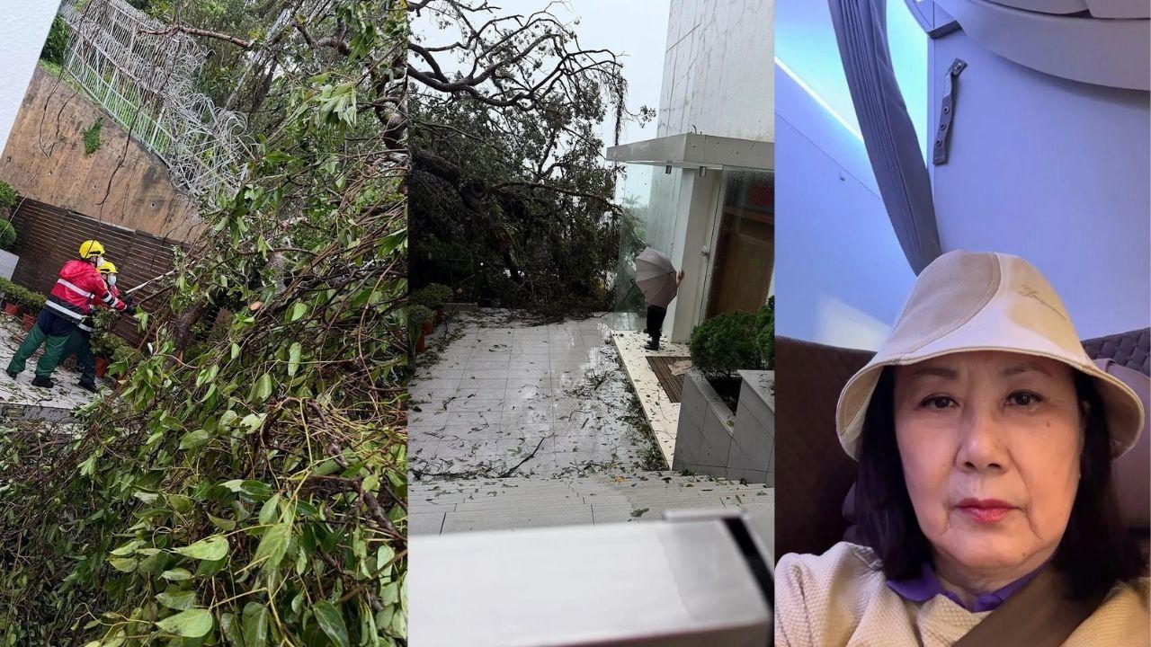 樺加沙打風｜汪明荃家門冧樹橫插花園　Liza姐感激消防員：謝謝你們的付出！