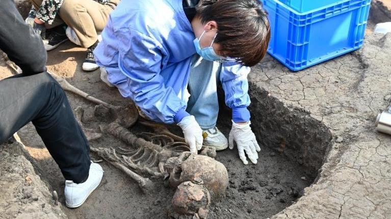 河南賈湖遺址發現中國最早木棺 木質葬具出現時間推前二千年。（新華社）