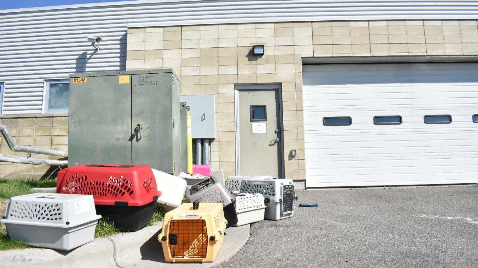 FBI銷毀冰毒誤洩毒氣　導致14人緊急送醫