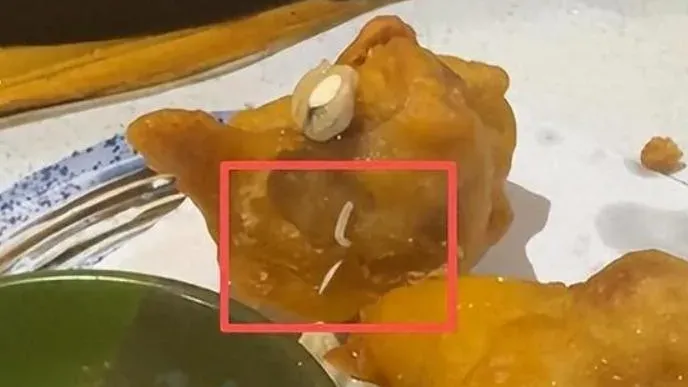 上海日本料理店有炸雞驚現活蛆蠕動　店家：從別的地方爬過去的