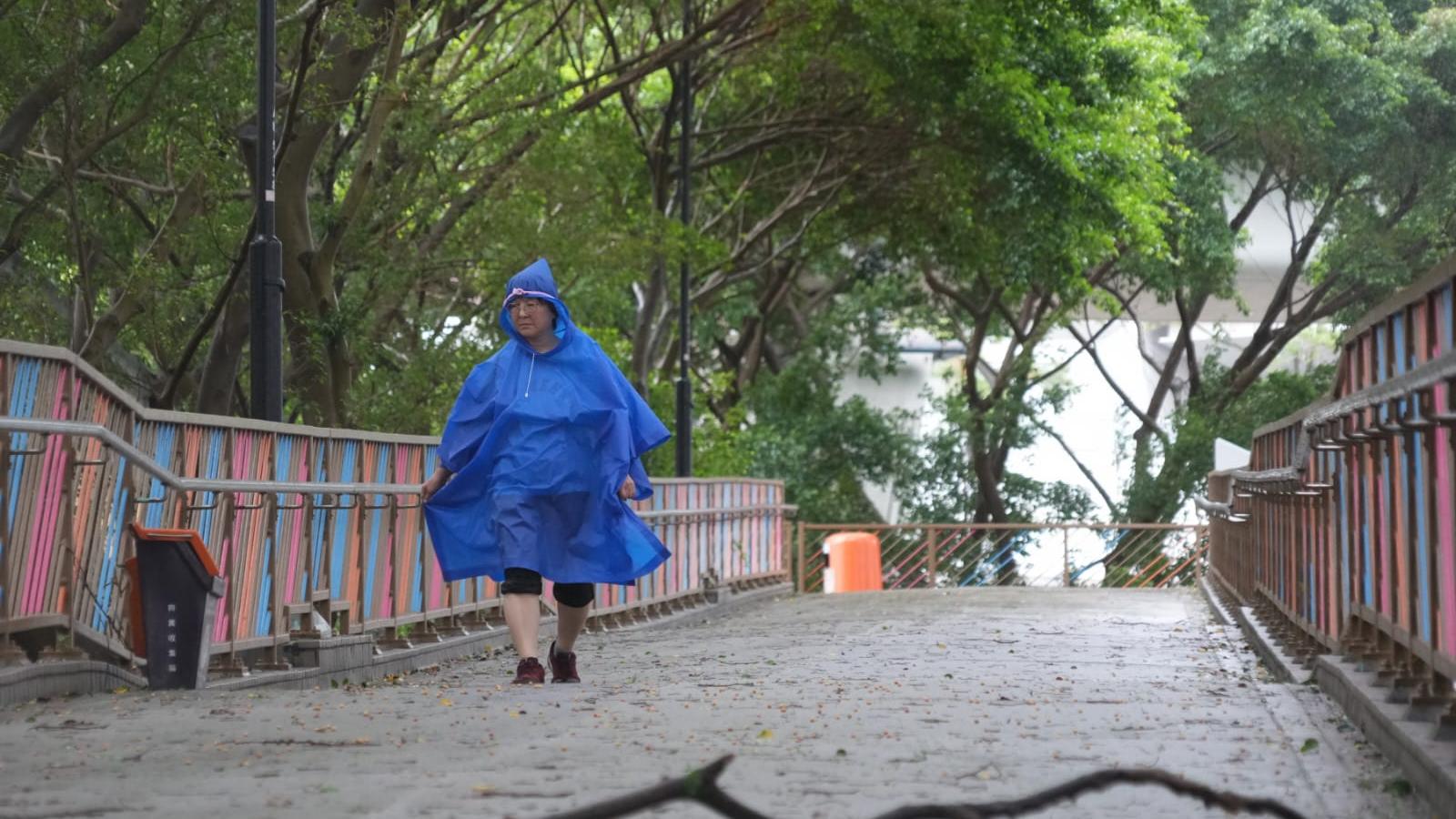 颱風塔巴｜一文睇清公共服務安排。