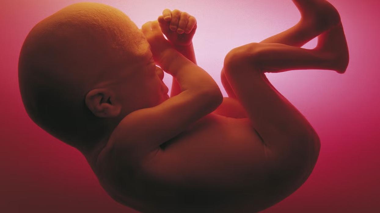 印度發現「胎中胎」罕見病例。(互聯網)