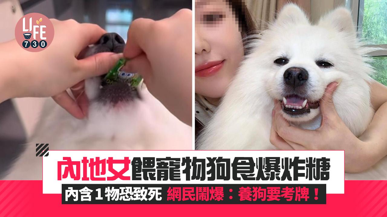網上熱話｜內地女餵寵物狗食爆炸糖 網民鬧爆無常識：養狗都要考牌！
