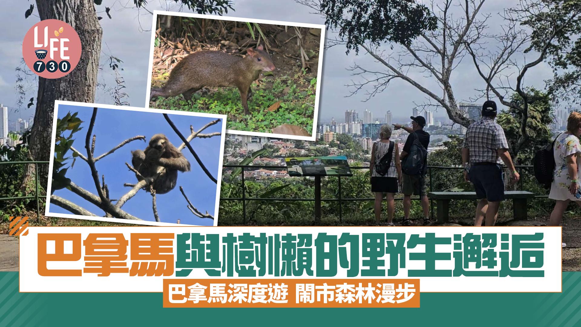 巴拿馬深度遊｜閙市森林漫步 巴拿馬與樹懶的野生邂逅 必訪都市自然公園