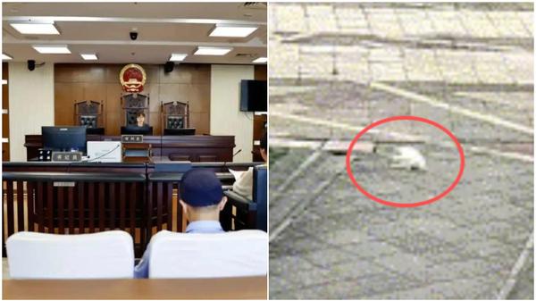 小琴與妹妹因清狗屎起爭執，一時衝動摔死兩隻狗。（示意圖／pixabay）