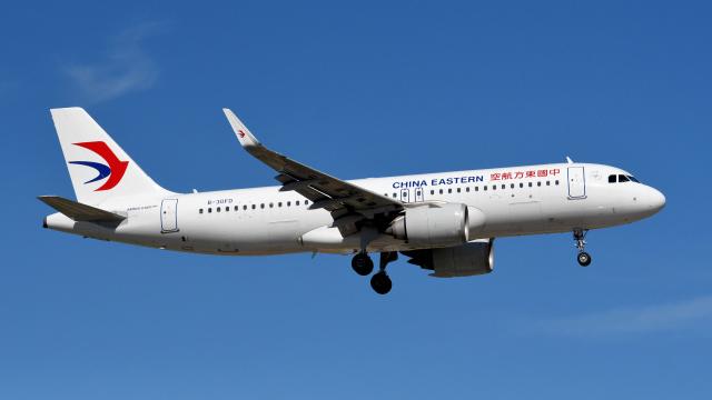 中國東方航空。(網上圖片)