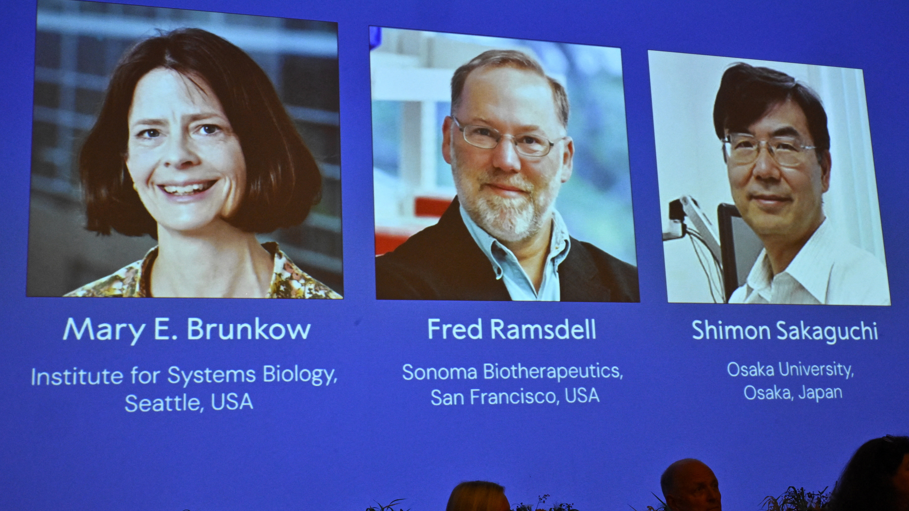 美國科學家布倫科、拉姆斯德爾，以及日本科學家坂口志文成為諾貝爾生理學或醫學獎得主。（路透社）