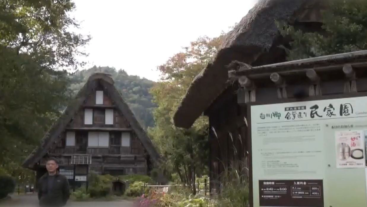 日熊出沒飆6倍10死 白川鄉暫停紅葉亮燈 嵐山亦見 自衛隊或增援