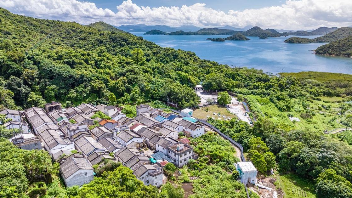 重振活力的荔枝窩。（圖片來源：漁農自然護理署）