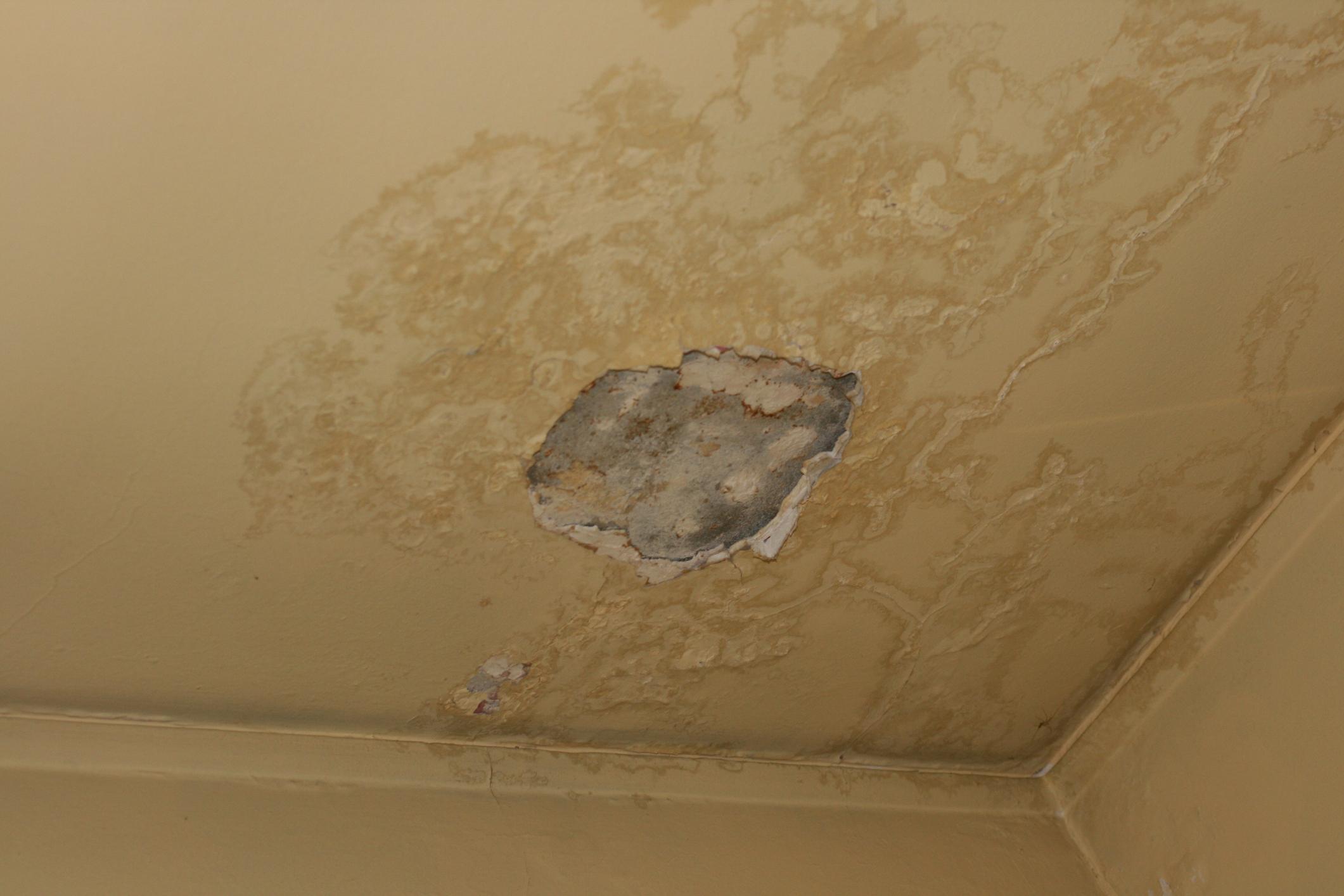 滲水辦未有適時調查滲水僭建物被投訴，申訴專員宣布展開全面調查。(政府新聞處)