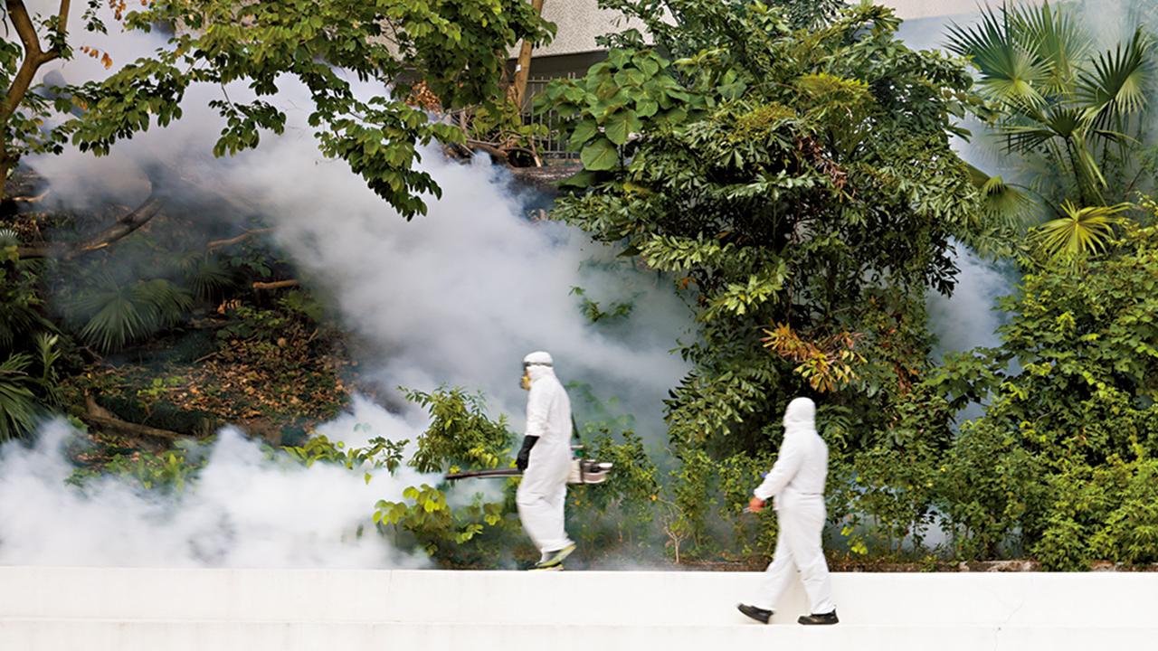 爆本地首宗基孔肯雅熱 82歲婆婆確診 居鑽石山鳳德邨 二十幢大廈逾萬居民有感染風險