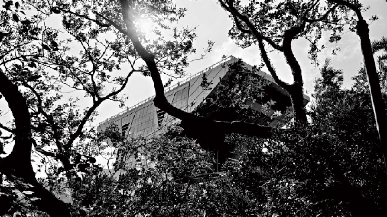 Farrell的升上雲霄