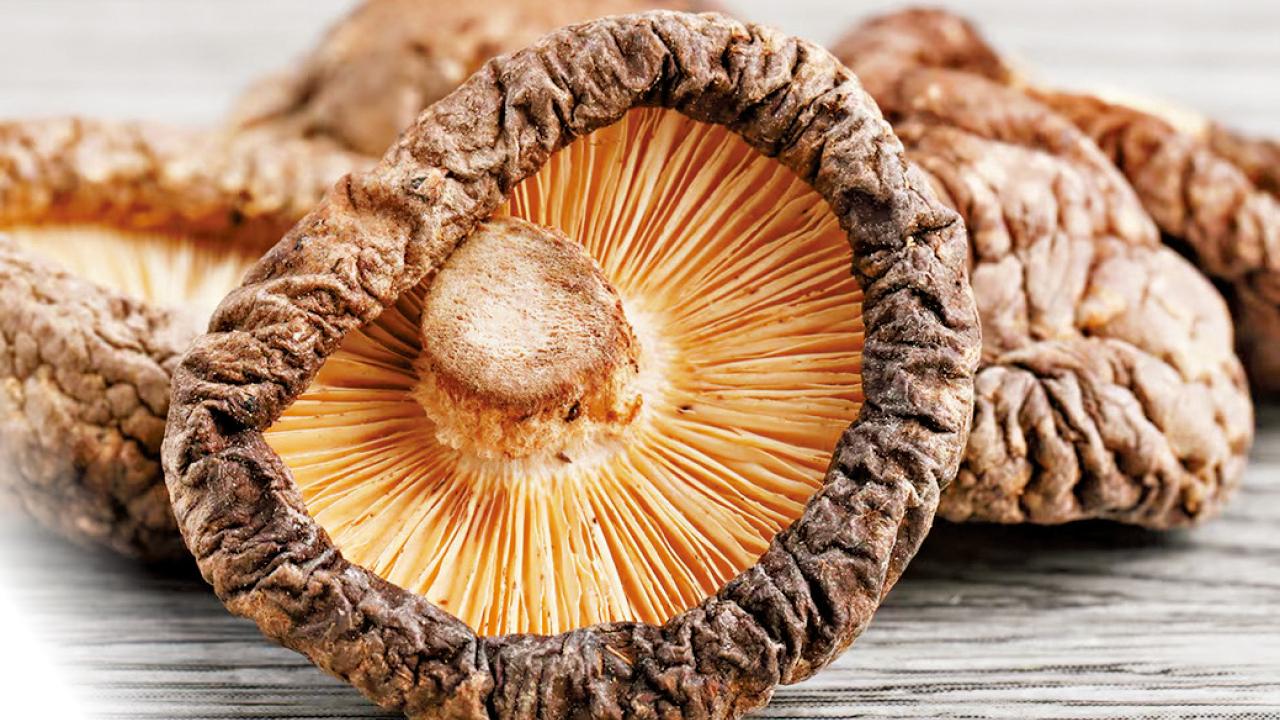 藥食同源：冬菇