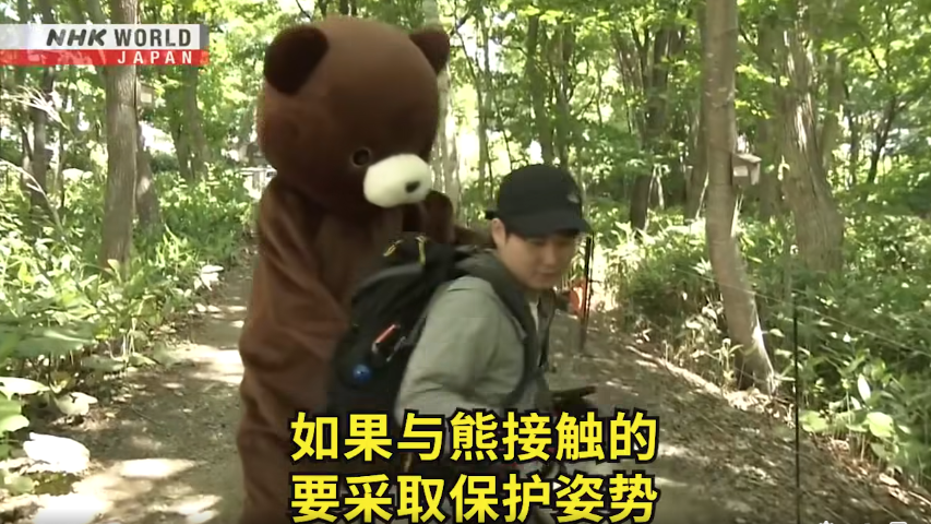 日本一個月64人遭熊襲擊 NHK推中文自保教學片 網民：熊太可愛啦(有片) | 日本旅遊