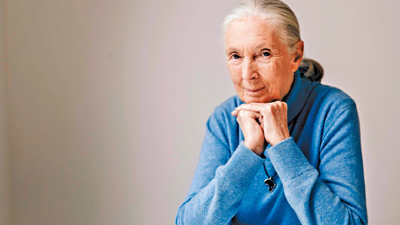 自小與猩猩結下不解緣 靈長類動物學家珍古德離世