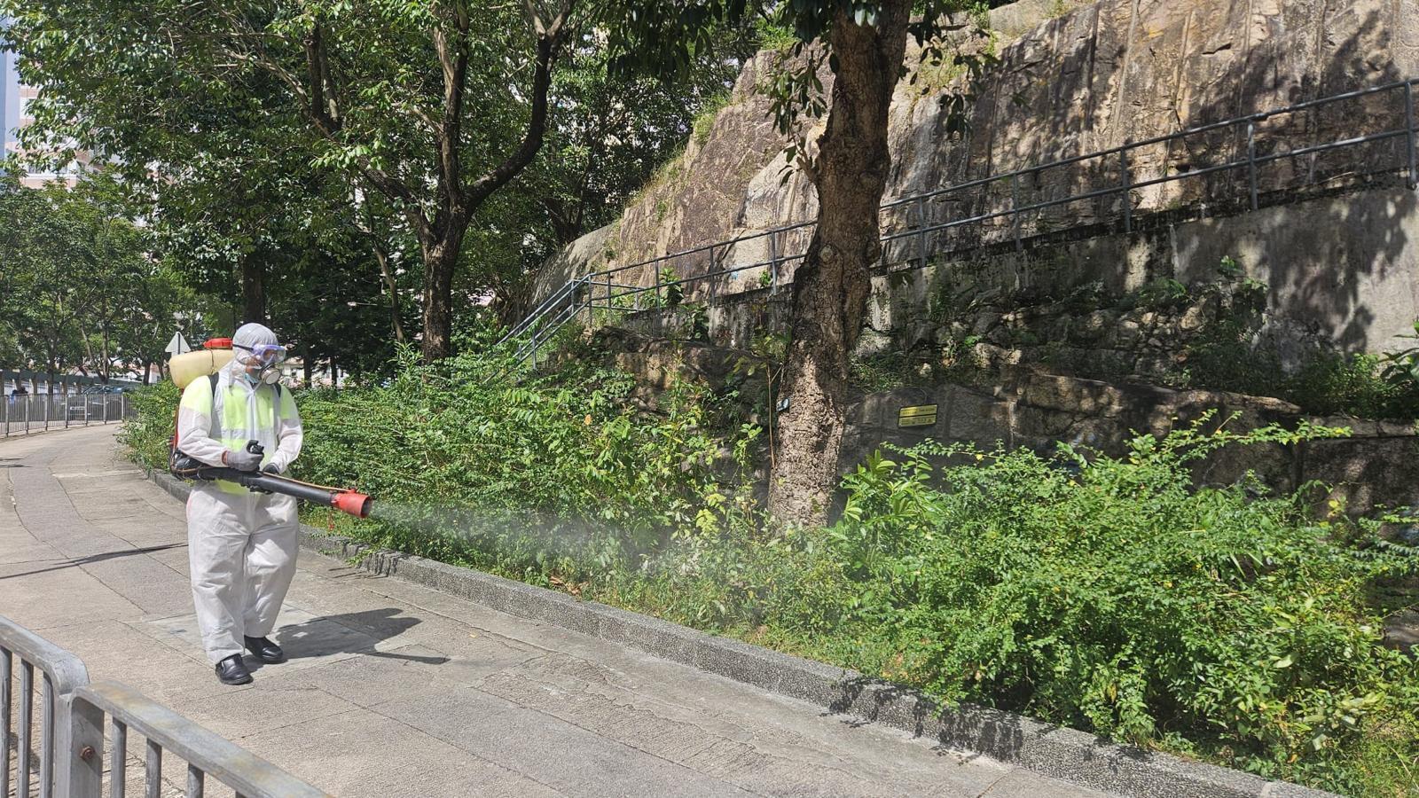 基孔肯雅熱｜食環署：在確診24小時內到患者住所滅蚊 全運會比賽場地一帶加強滅蚊