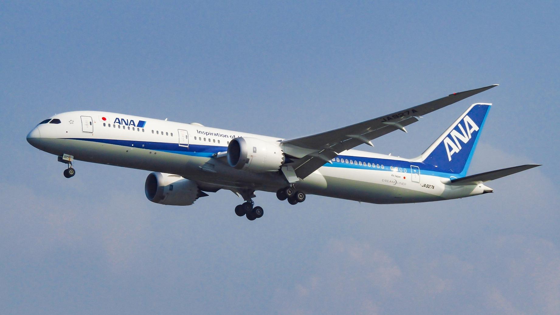 圖為全日空客機。(互聯網)