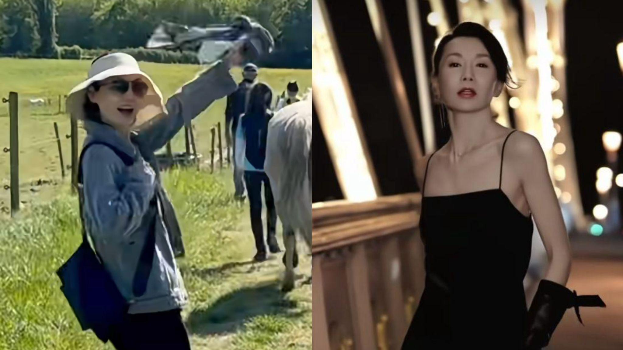 張曼玉淡出幕前多年有新目標 有意法國買地建設花園