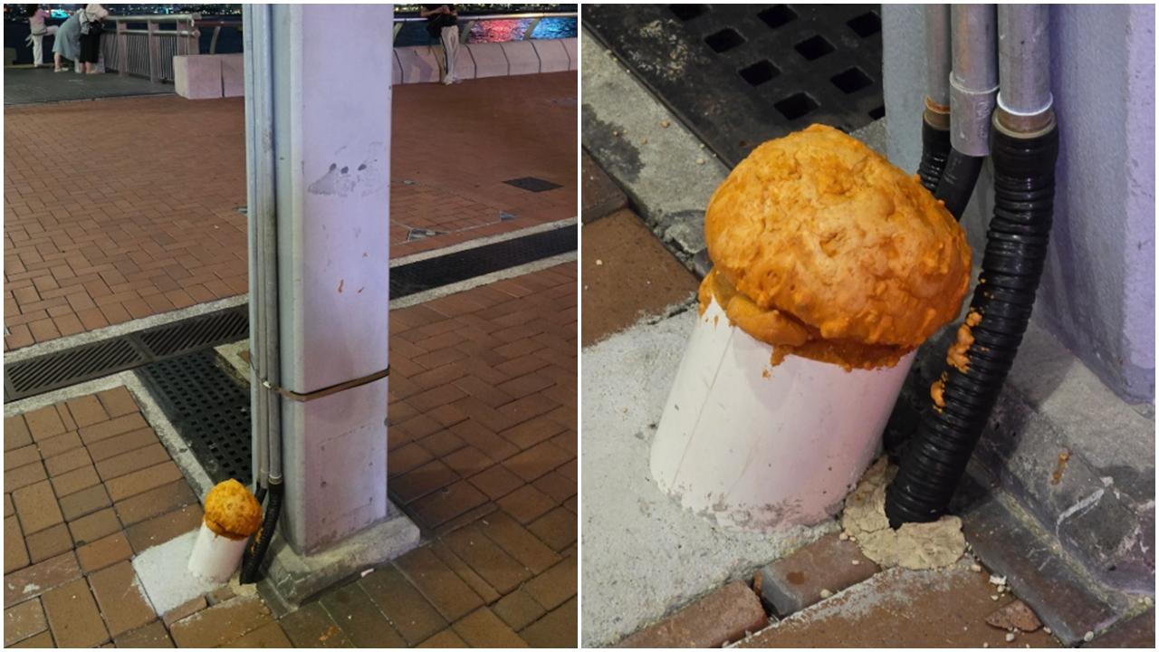 網上熱話｜中環碼頭驚現「菠蘿包」？ 網民笑言：俾遊客免費試食