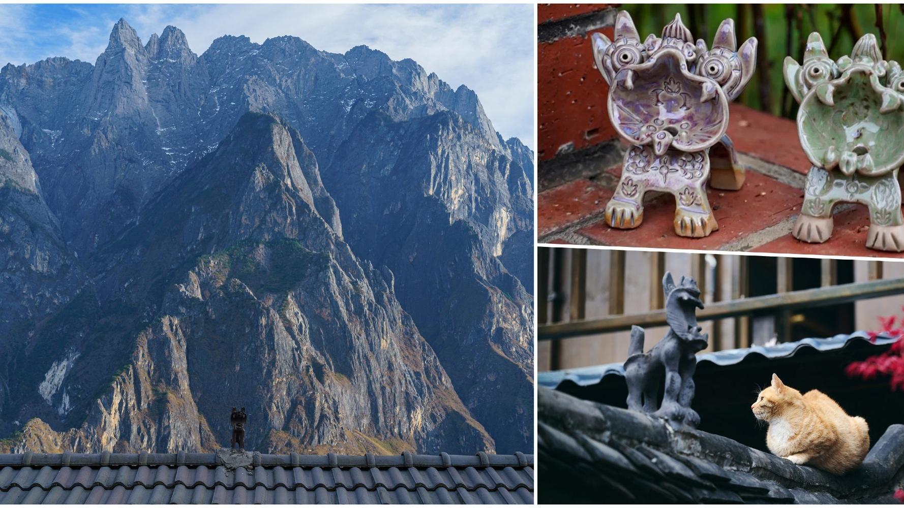 瓦貓尋蹤：穿越雲南的神秘符號｜屋脊上的非遺