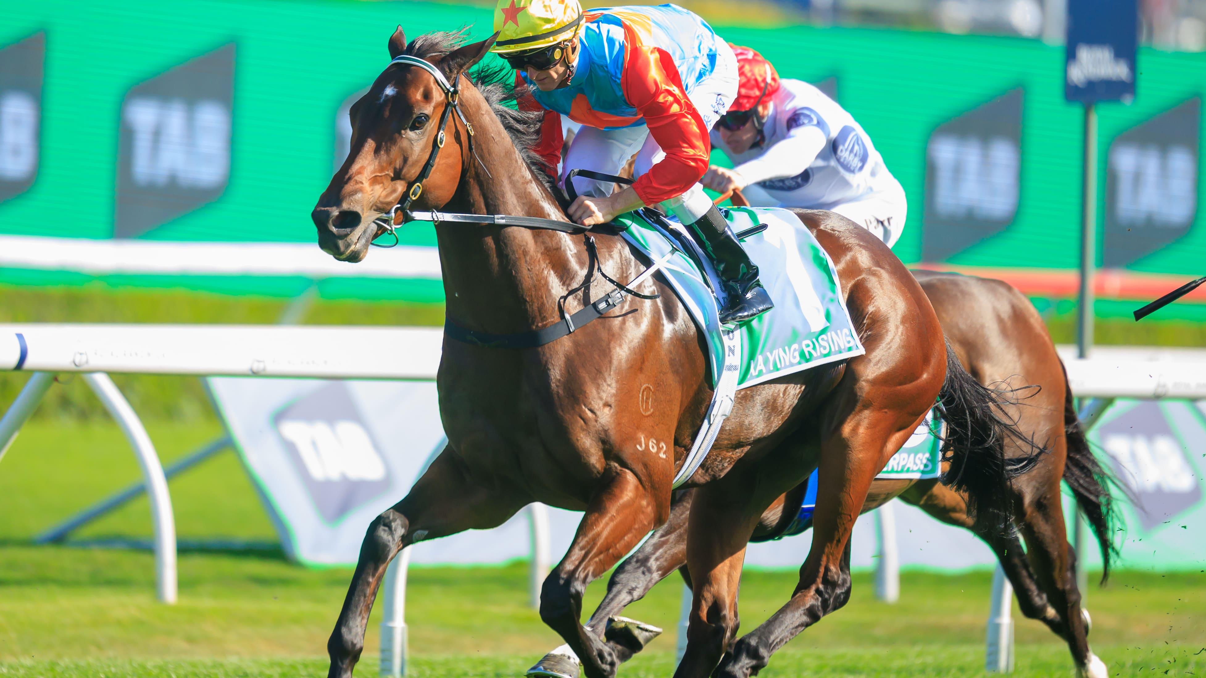 香港馬王「嘉應高昇」創歷史