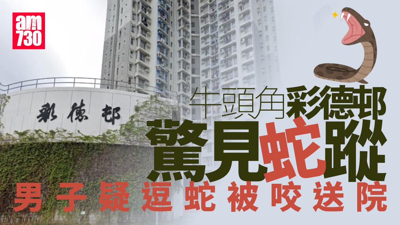 牛頭角彩德邨現蛇蹤　男子疑逗蛇被咬送院