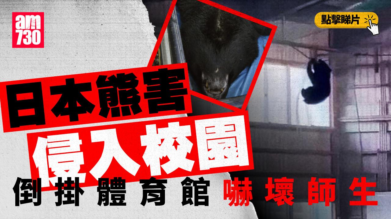 日本文部科學省建議帶膠樽防熊？擬開放警察步槍獵熊