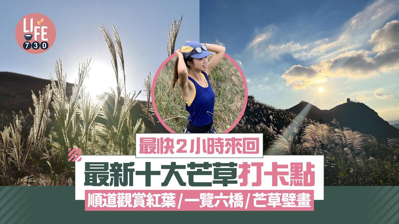 芒草｜大東山、東洋山、鳳凰山等十大秋冬芒草季節好去處 附行山路線+交通安排