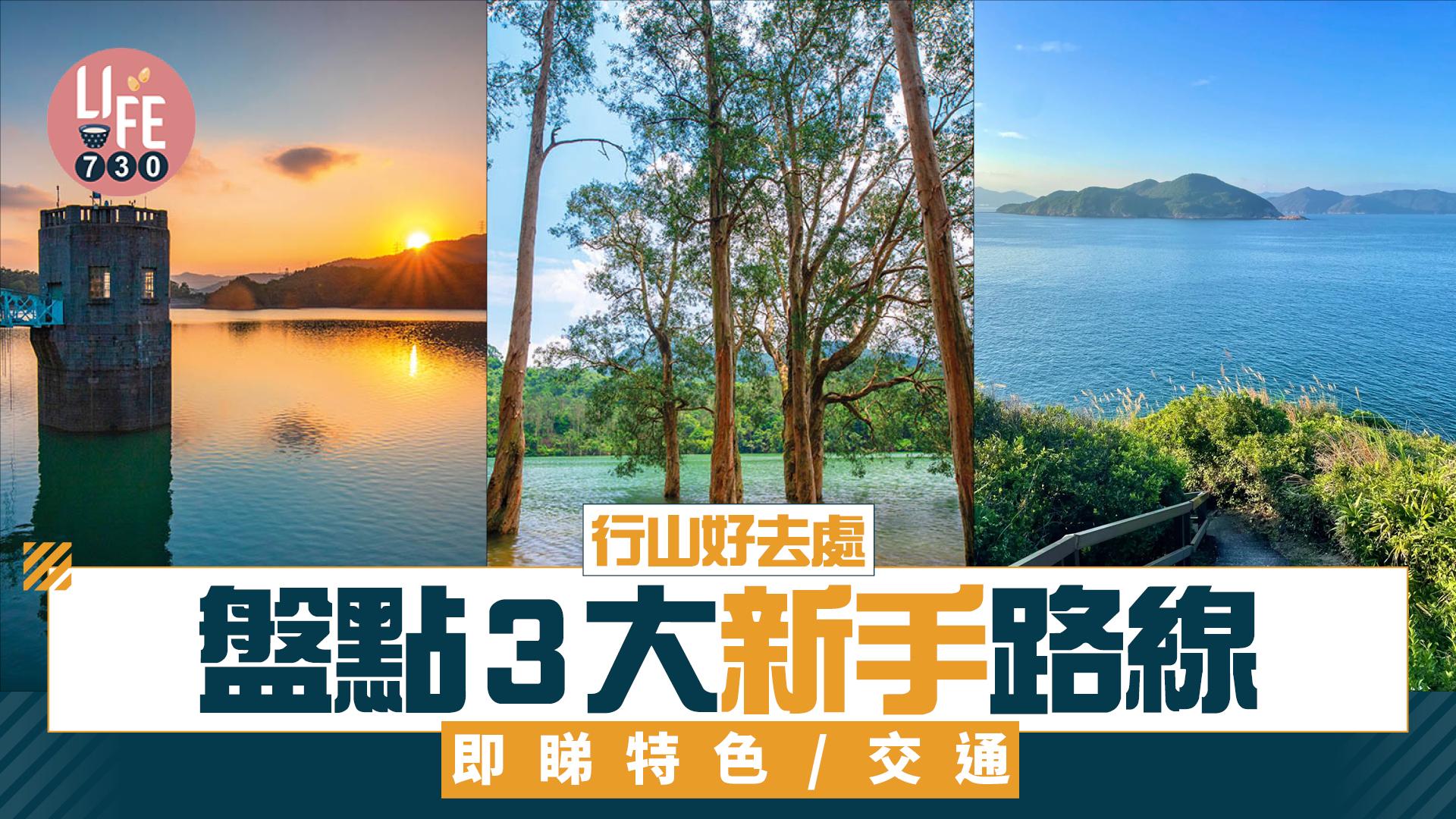 行山好去處｜盤點3大新手路線 即睇特色/交通