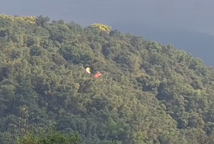 一名香港遊客在台灣南投玩滑翔傘時，在半空撞到一名台灣遊客的滑翔傘，兩人墜落樹林中沒有受傷。(影片截圖)