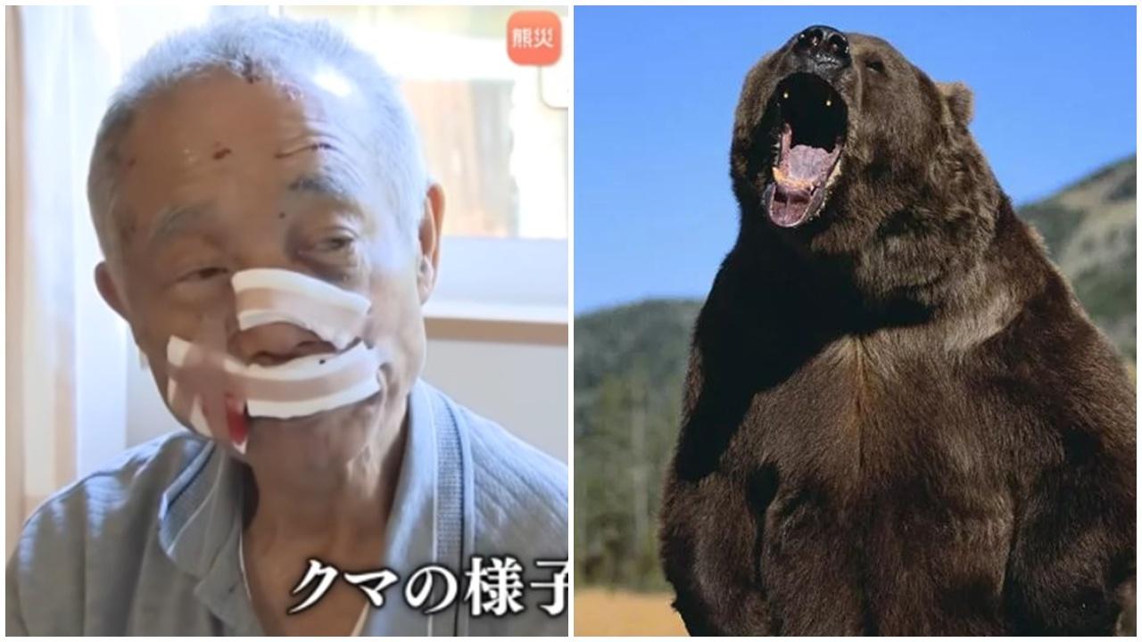 新潟八旬獵人與熊生死一搏，臉被爪爛冷靜入彈一槍KO。(X)