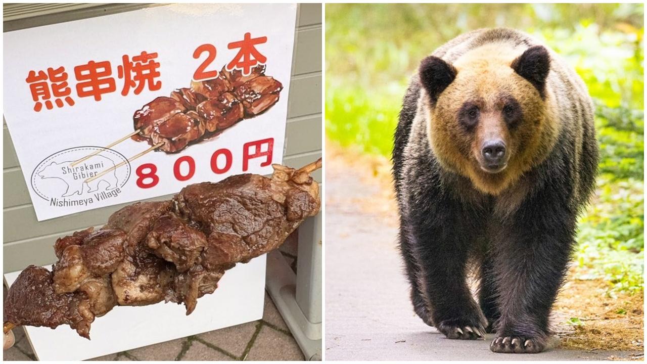 日本熊害頻傳網民貼熊肉串燒，獲激讚：熊吃人、我們也吃牠。(X)