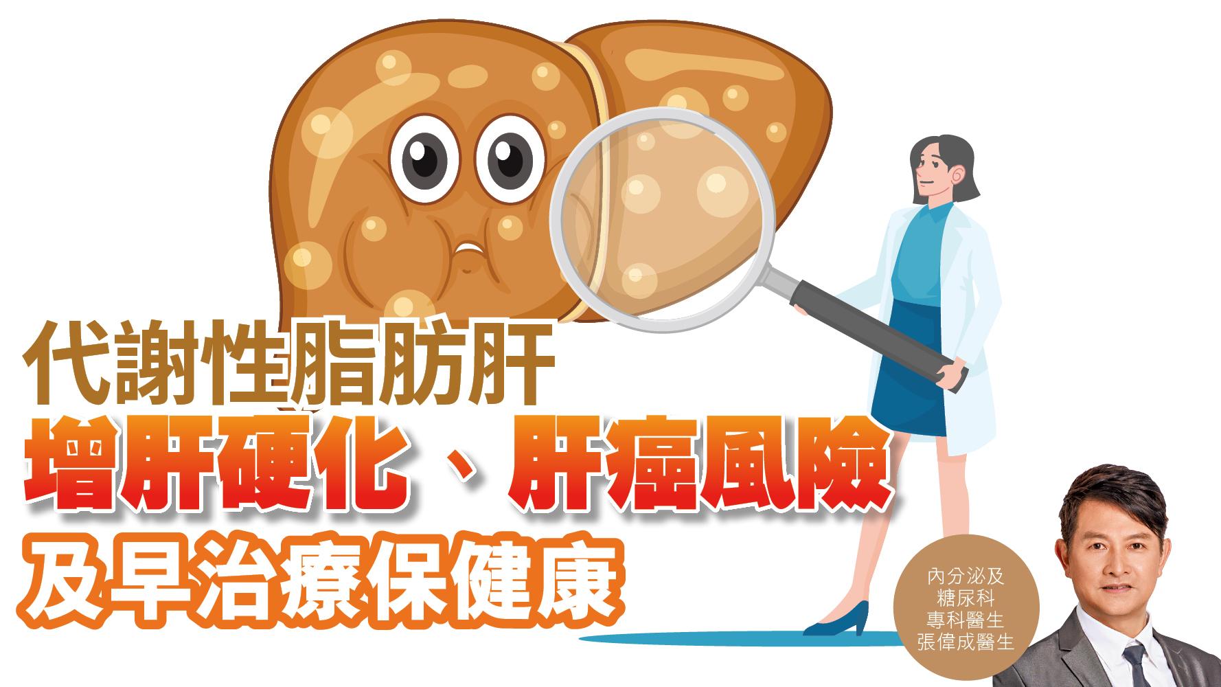 健康解碼｜代謝性脂肪肝增肝硬化、肝癌風險 及早治療保健康