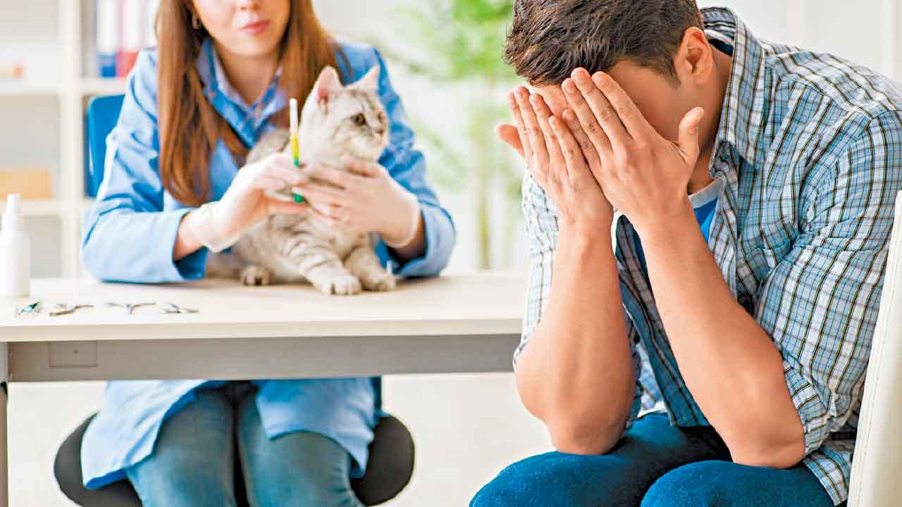 寵物變老 飼主幸福感易變抑鬱