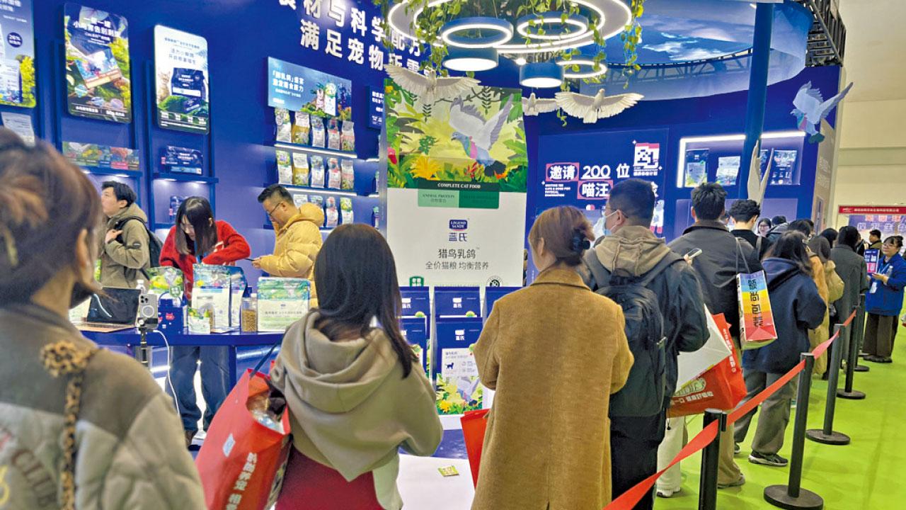 中國專題｜毛孩律師樓乘勢登場 消費新動力 「它經濟」潛力巨大