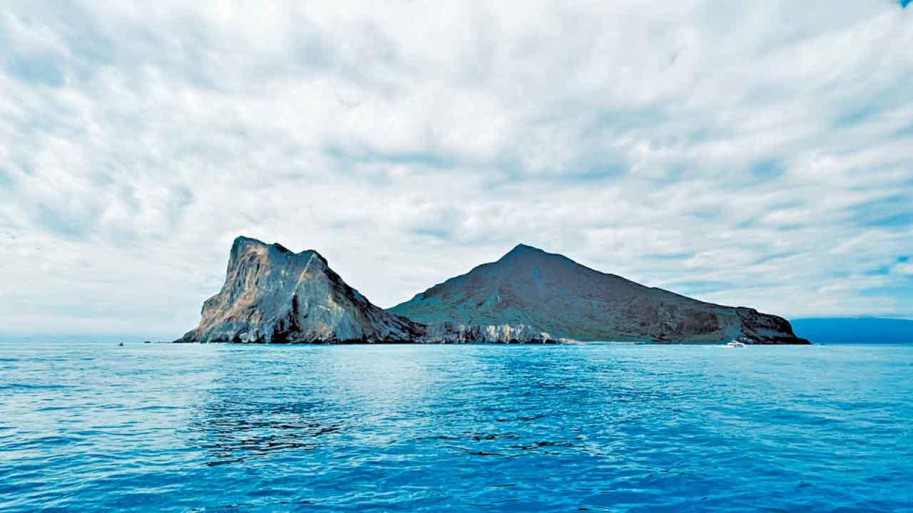 出發往龜山島登島賞鯨去！