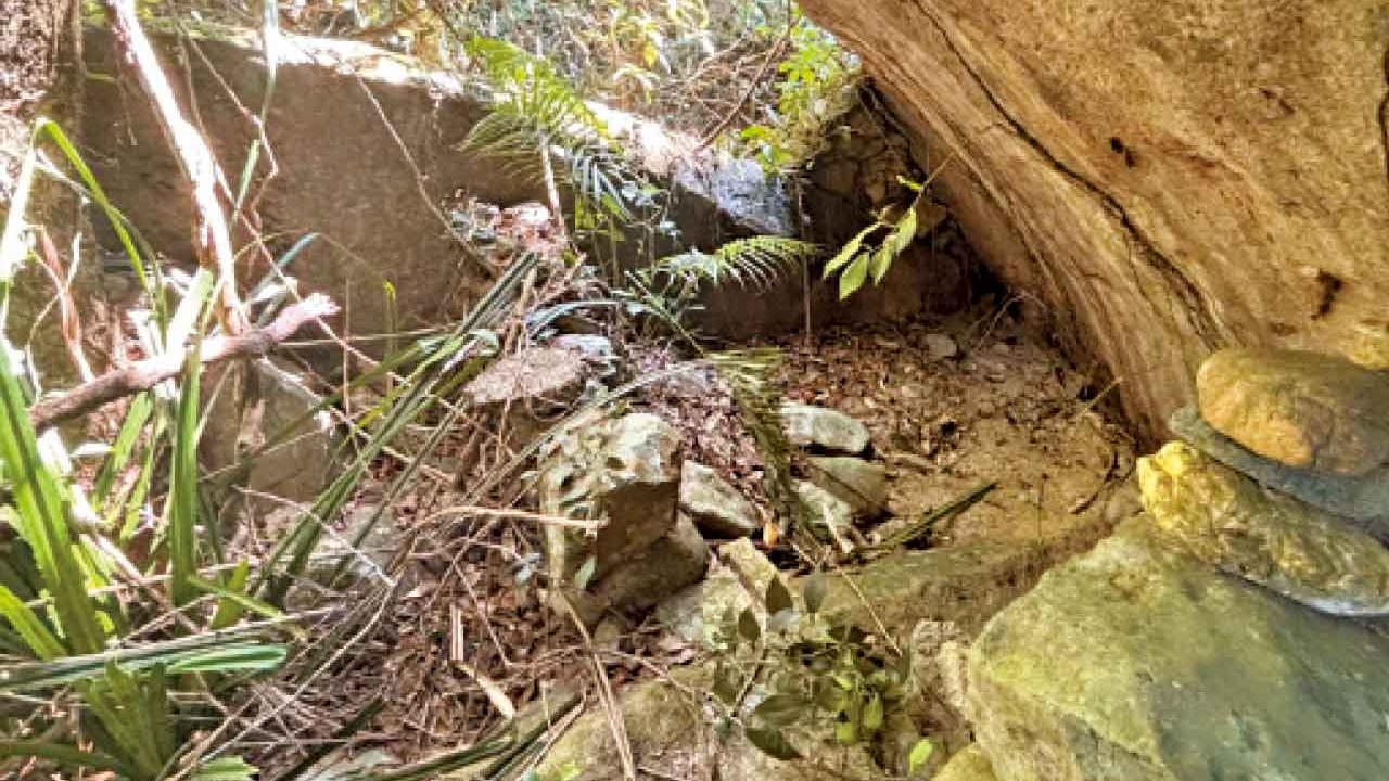 黃毛應 黃宜洲 西貢的抗日史跡